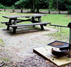 Bellbird campground - Accommodation Broadbeach