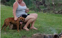 Roto NSW Accommodation Broadbeach