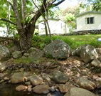Mt Warning Rainforest Park - Accommodation Broadbeach