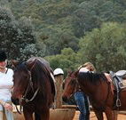 Chesleigh Homestead - Accommodation Broadbeach