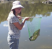 Bullock Mountain Homestead - Accommodation Broadbeach