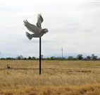 Gulargambone Hotel - Gulargambone - Accommodation Broadbeach