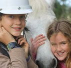 Mayfield Vineyard Cottages - Accommodation Broadbeach