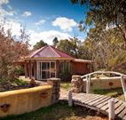 Starline Alpaca Farm Stay - Accommodation Broadbeach