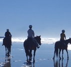 Whispering Brook - Accommodation Broadbeach