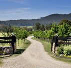 Pemberley Grange Hunter Valley Getaway - Accommodation Broadbeach