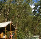 Coast and Country Cabins - Accommodation Broadbeach