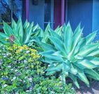 Retreat Homestead - Accommodation Broadbeach