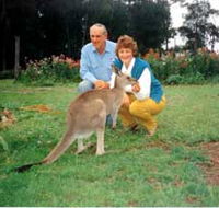 Bimbimbi and Little Hollow Farm Stay - Accommodation Broadbeach