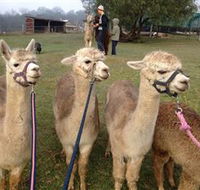 Bunyip Springs Farmstay - Accommodation Broadbeach