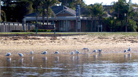BEST WESTERN Coastal Waters Motor Inn - Accommodation Broadbeach 6