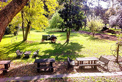 Settlers Arms Inn - Accommodation Broadbeach 8