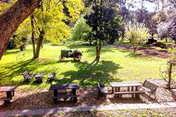Settlers Arms Inn - Accommodation Broadbeach 18