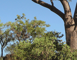 Lakeview Apartments Kununurra - Accommodation Broadbeach 3