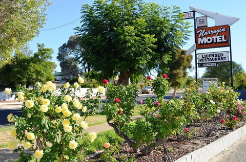 Narrogin Motel - Accommodation Broadbeach 0