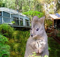 Huon Bush Retreats - Accommodation Broadbeach