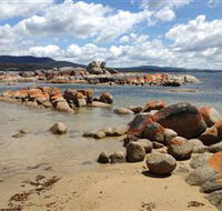 Lake Eckersley campground - Accommodation Broadbeach