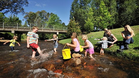 NRMA Bright Holiday Park - Accommodation Broadbeach 3