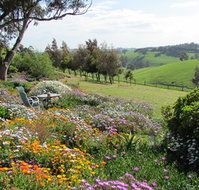 Loves Lane Cottages - Accommodation Broadbeach