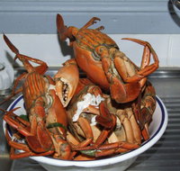 King Ash Bay Lodge - Accommodation Broadbeach