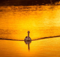 River Shack Rentals - Living the Dream - Accommodation Broadbeach