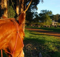 Billa Billa Farm Cottages - Accommodation Broadbeach