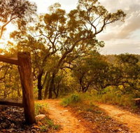 Kurrajong Trails and Cottages - Accommodation Broadbeach