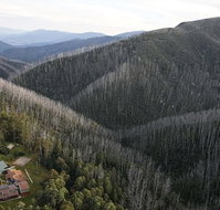 YMCA Howmans Gap Alpine Centre - Accommodation Broadbeach