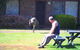 Halls Haven Resort - thumb 7