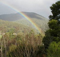 Wattletree Cottage - Accommodation Broadbeach