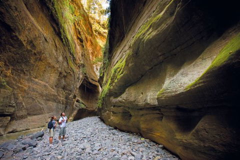 Carnarvon National Park Camping - Accommodation Broadbeach 4