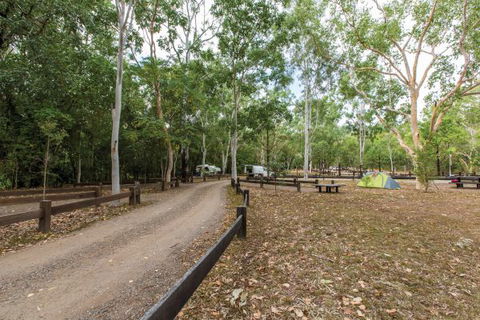 Carnarvon National Park Camping - Accommodation Broadbeach 1