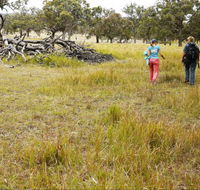 Carnarvon National Park camping - Accommodation Broadbeach