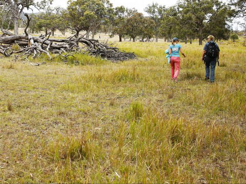 Carnarvon National Park Camping - Accommodation Broadbeach 0