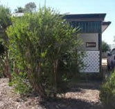 Loxton Smiffy's Bed And Breakfast Coral Street - Accommodation Broadbeach
