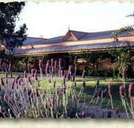 Bluebush Estate - Accommodation Broadbeach