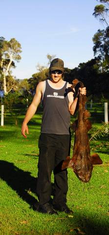 Denmark Rivermouth Caravan Park - Accommodation Broadbeach 4