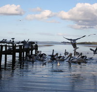 Pelicans At Denmark - Holiday Home - Accommodation Broadbeach