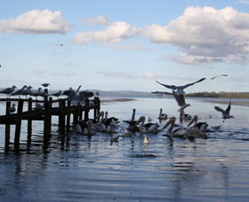 Pelicans At Denmark - Holiday Home - Accommodation Broadbeach 0