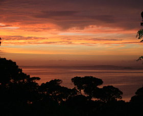 Pelicans At Denmark - Holiday Home - Accommodation Broadbeach 1