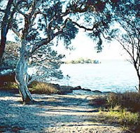 The Cove - Accommodation Broadbeach