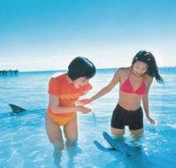 Kookaburra Air - Accommodation Broadbeach