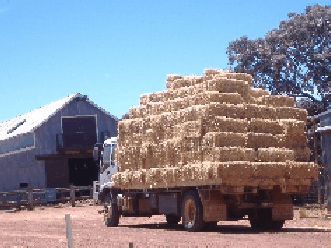 Avondale Discovery Farm - Accommodation Broadbeach 1