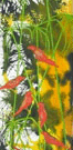 Jahroc Mill Gallery - Accommodation Broadbeach 3