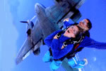 Simply Skydive - Accommodation Broadbeach 2