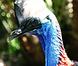 Alma Park Zoo - Accommodation Broadbeach 0