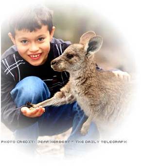 Australia Walkabout Wildlife Park - Accommodation Broadbeach 1