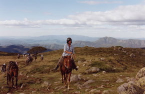 High Country Horses - Accommodation Broadbeach 0