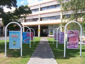 Cadbury Chocolate Factory Tour - Accommodation Broadbeach 2