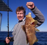 Downunder Charters - Accommodation Broadbeach